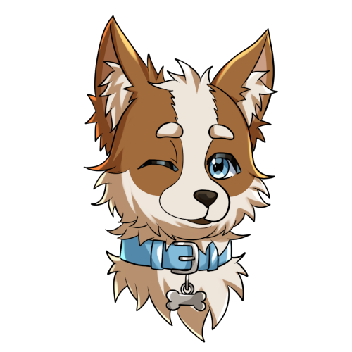 The image logo of the website.